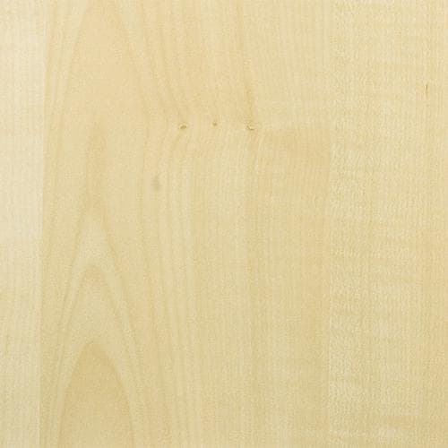 Gera Vergadertafel Basis, breedte x diepte 1600 x 800 mm, plaat esdoorn