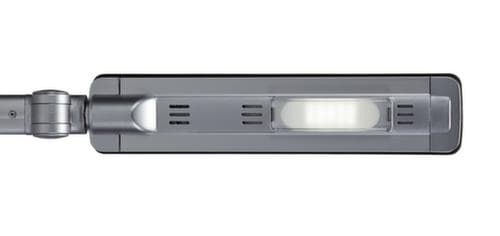 MAUL dimbare LED-tafellamp MAULpure, licht koudwit (daglichtwit), zilverkleurig