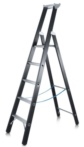 ZARGES Staande zwaarlastladder met sporten Z600 belastbaar tot 250 kg