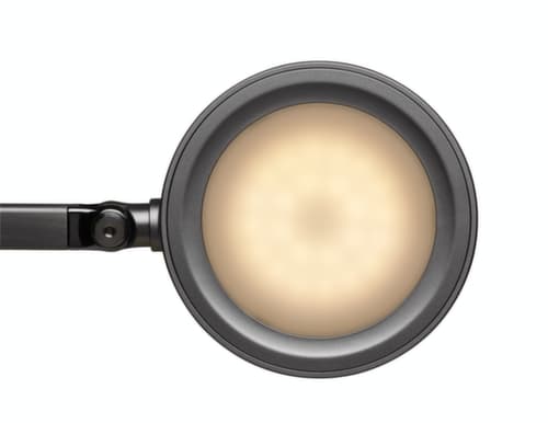 MAUL LED-bureaulamp MAULgrace colour vario met instelbare kleurtemperatuur, licht daglicht- tot warmwit, zilverkleurig