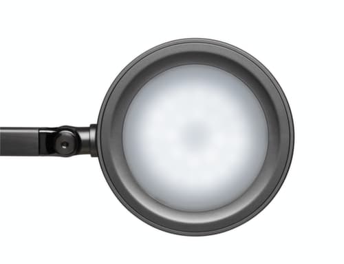 MAUL LED-bureaulamp MAULgrace colour vario met instelbare kleurtemperatuur, licht daglicht- tot warmwit, zilverkleurig