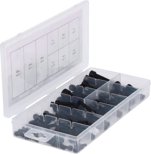 Assortiment binnenzeskantschroeven