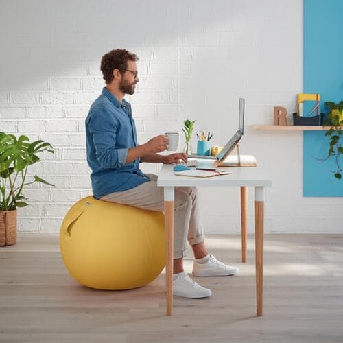 Leitz Zitbal Ergo Cosy