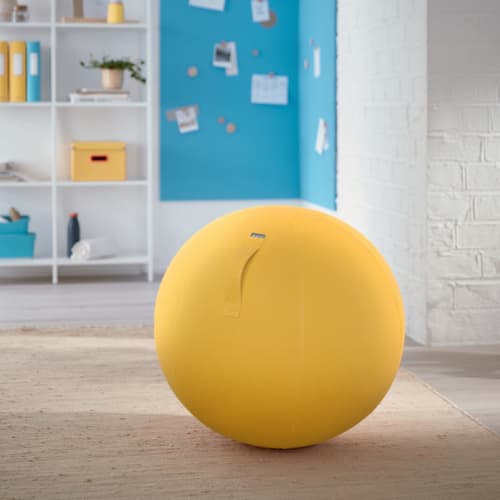 Leitz Zitbal Ergo Cosy