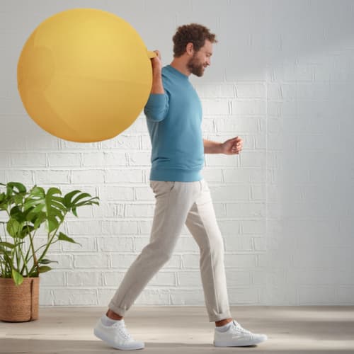 Leitz Zitbal Ergo Cosy