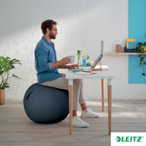 Leitz zitbal Ergo Cosy, zitting fluweelgrijs