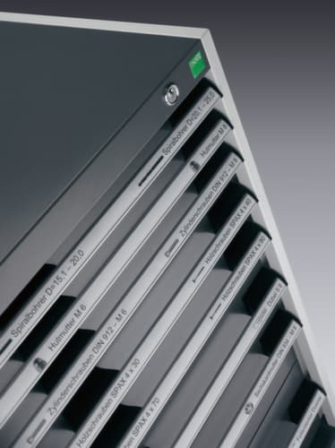 bott Ladekast cubio oppervlak 800 x 750 mm, 8 lade(n), RAL7035 lichtgrijs/RAL7035 lichtgrijs