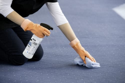 Kärcher Universele reiniger RM 769, 0,5 l spuitfles