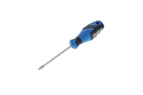 2163 Schroevendraaier TX T30 3C