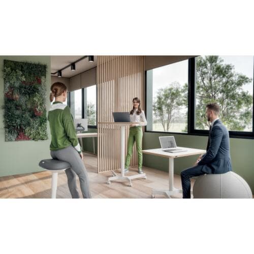Leitz Zit-sta-kruk Ergo Active